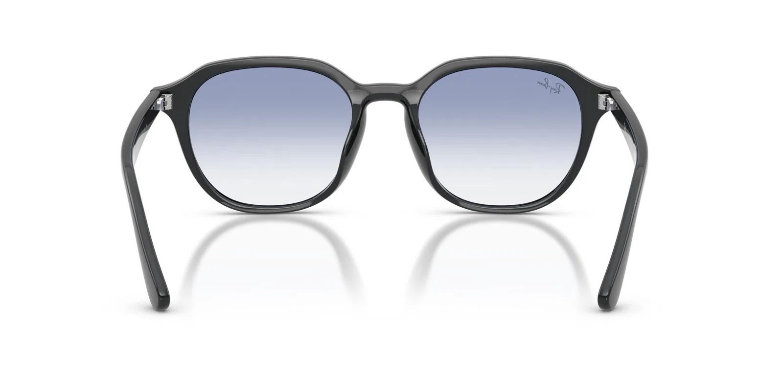 Ray-Ban 4459D Sunglasses - view 14